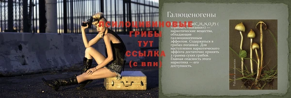 твердый Михайловка