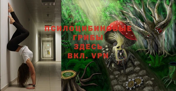 твердый Михайловка