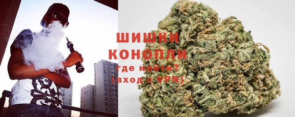 PSILOCYBIN Михайлов