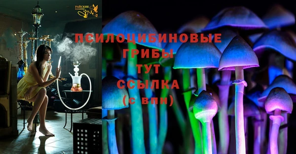 PSILOCYBIN Михайлов