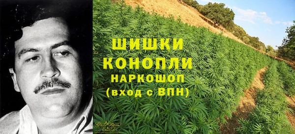 PSILOCYBIN Михайлов